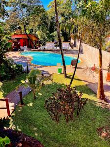 伊瓜蘇港的住宿－ARASARÍ Hotel Iguazú，庭院内棕榈树游泳池