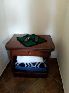 - une table de chevet avec un sac vert dans l'établissement Hospedagem Frez, à Nova Friburgo