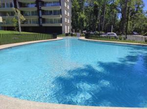 Πισίνα στο ή κοντά στο Alta Vista Pucon Centro