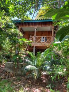 a wooden house in the middle of a forest at Zest'house in Koh Rong Island