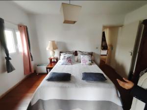 ein Schlafzimmer mit einem großen weißen Bett in einem Zimmer in der Unterkunft Maison de charme, en Plaine Poésie -chez l'habitant- in La Plaine des Palmistes