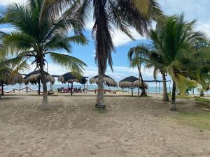 uma praia com palmeiras e pessoas deitadas na areia em Apartamento frente al mar entre Tolu y Coveñas em Puerto Viejo