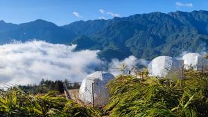 a group of domes on top of a mountain at Daisy SaPa - Venuestay in Sa Pa