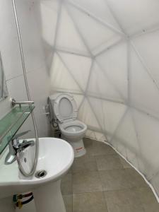 ein weißes Bad mit einem WC und einem Waschbecken in der Unterkunft Daisy SaPa - Venuestay in Sa Pa