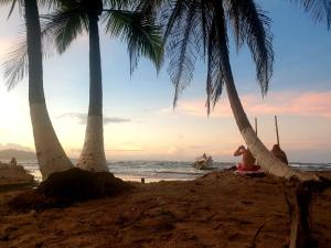 un grupo de palmeras en una playa en Pacos Place, en Puerto Viejo