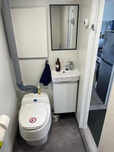 ein kleines Bad mit WC und Waschbecken in der Unterkunft Luxus Tiny House Saagala in Tornio
