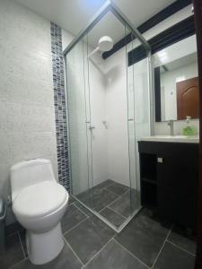 グアタペにあるEros Hostel & Brunchのバスルーム(トイレ、ガラス張りのシャワー付)