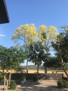 THE OAK’S外面的花园