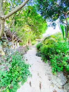 a dirt path with trees and plants on a beach at Bwejuu Garden View Bungalows in Kiganga