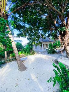 a palm tree and a house on the beach at Bwejuu Garden View Bungalows in Kiganga