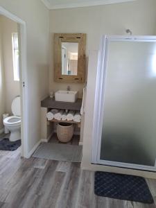 a bathroom with a sink and a toilet at Milky Way in Hermanus