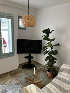 un salon avec une télévision et une plante en pot dans l'établissement Zentrales und ruhiges Apartment im beliebtesten Bremer Viertel, à Brême