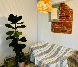 pokój z doniczką obok łóżka w obiekcie Zentrales und ruhiges Apartment im beliebtesten Bremer Viertel w Bremie