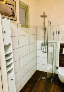 y baño con ducha y aseo. en Zentrales und ruhiges Apartment im beliebtesten Bremer Viertel, en Bremen