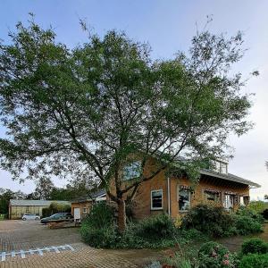 un gran árbol frente a un edificio en Carmen's Stay In - Jaagweg 13 Ilpendam, en Ilpendam