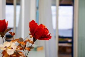 Foto sihtkohas Logaras asuva majutusasutuse Aura Paros galeriist