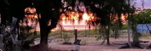 a sunset over a beach with trees and the ocean at La Villa l'Ancre Marine, pieds dans le lagon ! in La Saline les Bains