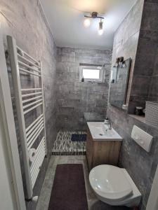 La salle de bains est pourvue de toilettes et d'un lavabo. dans l'établissement Apartamentul ALFA, à Slănic-Moldova