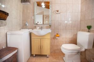 a bathroom with a white toilet and a sink at Eirini's Traditional House in Lístaros