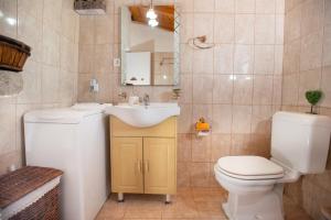 a bathroom with a white toilet and a sink at Eirini's Traditional House in Lístaros +45 photos