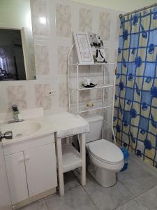 a bathroom with a sink and a toilet and a shower curtain at Tropical Blessings - Ocho Rios in St Mary