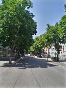 une rue vide bordée d'arbres dans l'établissement Lovely 11 Rental Ap In Myslym Shyri Tirana, à Tirana