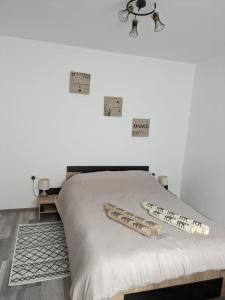 - une chambre avec un lit et 2 oreillers dans l'établissement Apartamentul ALFA, à Slănic-Moldova