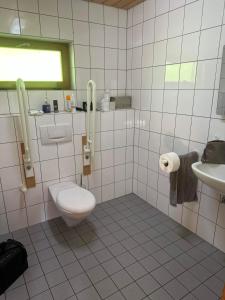 a bathroom with a toilet and a sink at ZeitFürMich in Losheim