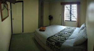 Φωτογραφία από το άλμπουμ του Bula Retreat σε Korotogo +33 φωτογραφίες