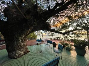 a group of chairs and a tree on a deck at Blue Indigo yoga Cambodia in Phnom Penh