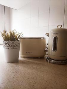 a toaster and flower pots sitting on a counter at O. Li Apart Estoril in Estoril