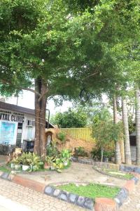 a tree in front of a building with a fence at COCOS HOTEL in Compostela