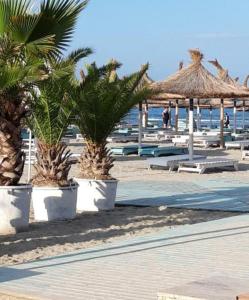 a beach with palm trees and umbrellas and the ocean at Alezzi Luxury Apartments & Spa Center in Mamaia Sat/Năvodari