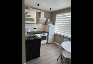 Køkken eller tekøkken på Seaside Klaipedas 108