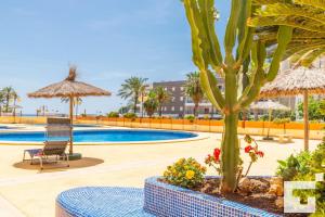 een zwembad met een palmboom en een tafel en stoelen bij Apartamento Zafiro 211B - Grupo Turis in Calpe