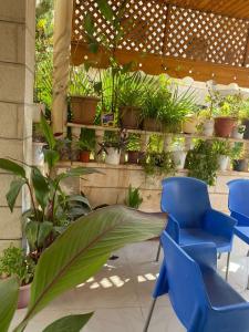 a patio with blue chairs and potted plants at Abuawad Rental in Jerash
