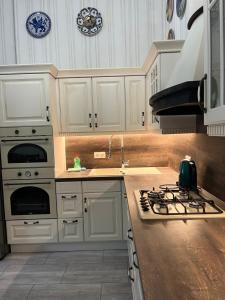 Kuchyň nebo kuchyňský kout v ubytování Apartment Carlsbad