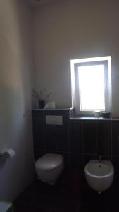 ein Badezimmer mit Toilette und Fenster in der Unterkunft Villa Bianca Karin in Gornji Karin + 29 Fotos