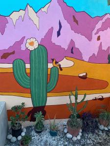 Fotografie z fotogalerie ubytování Desert Heart Hostel v destinaci San José del Cabo