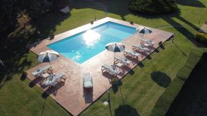 The swimming pool at or close to Fattoria Borgonuovo