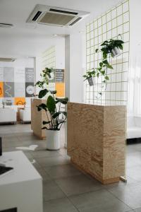 The Pure, Frankfurt, a Member of Design Hotels في فرانكفورت ماين: غرفة مع نباتات الفخار على الحائط