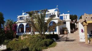 una casa blanca con una palmera delante de ella en Room in Guest room - Room in villa Lair De La Mer no0969, en Sidi Kaouki