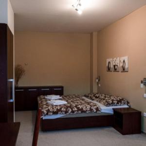 1 dormitorio con 1 cama en una habitación en Hotel Belaria Resort, en Opava