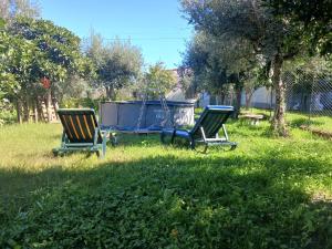 two chairs sitting in the grass in a yard at Casa do Adro in Arcozelo
