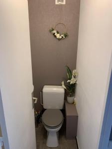 ヴィラール・ド・ランにあるAppartement cocooningの小さなバスルーム(トイレ付)が備わります。壁に花が飾られています。