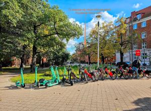 Jazda na bicykli v okolí ubytovania Mikrokawalerki w sercu Gdańska
