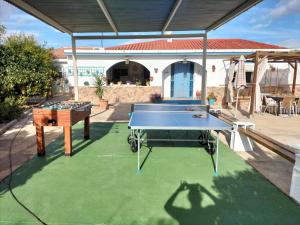 a ping pong table on a lawn in a backyard at VILLA LOS ARCOS in Málaga