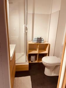 La petite salle de bains est pourvue d'une douche et de toilettes. dans l'établissement Magnifique studio 4 pers avec balcon vue montagne, à Orcières