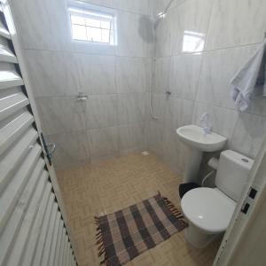 a bathroom with a toilet and a sink at Casa de Campo Chalé Saturno in Alto Paraíso de Goiás