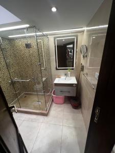 une salle de bain avec douche et lavabo dans l'établissement luxury flat with garden and private entrance شقة فاخرة بحديقة و مدخل خاص, au Caire 48 autres photos